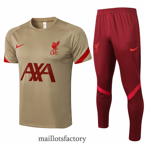 Site Maillot du Kit d'entrainement Maillot du Liverpool 2021/22 Kaki