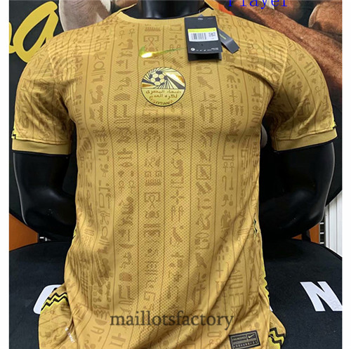 Achat Maillot de Player Egypte 2020/21 Jaune