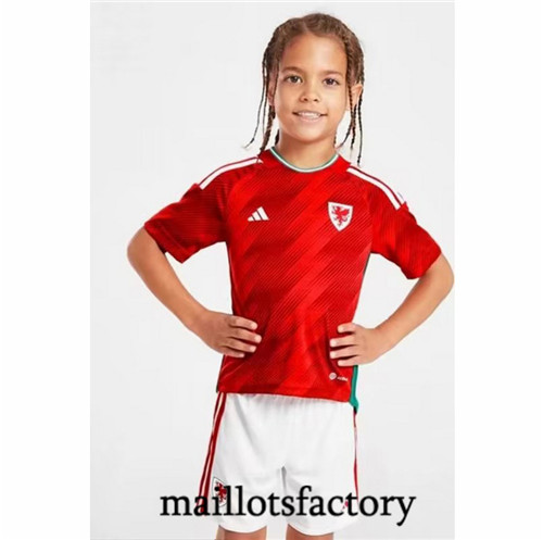 maillotsfactory: Maillot du Pays de Galles Enfant 2022/23 Domicile fiable