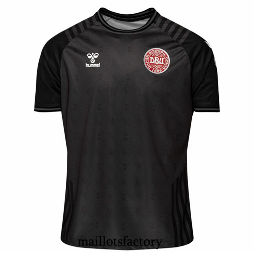 Achat Maillot du Danemark Gardien De But 2022/23 Édition spéciale Y418