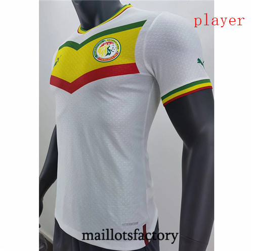 Achat Maillot du Player Sénégal 2022/23 Domicile Y922