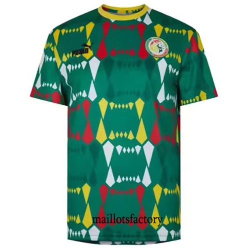 Achat Maillot du Sénégal 2023/24 Exterieur