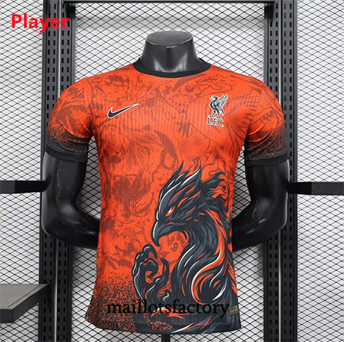 Maillot du Player Liverpool 2024/25 Spéciale