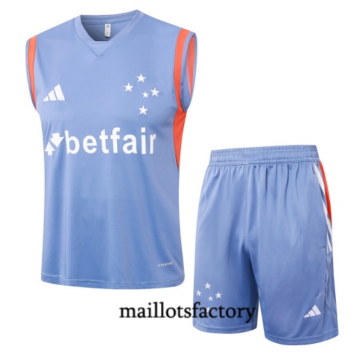 Achetez Maillot d'entrainement Cruzeiro Debardeur 2024/25 Gris Kit