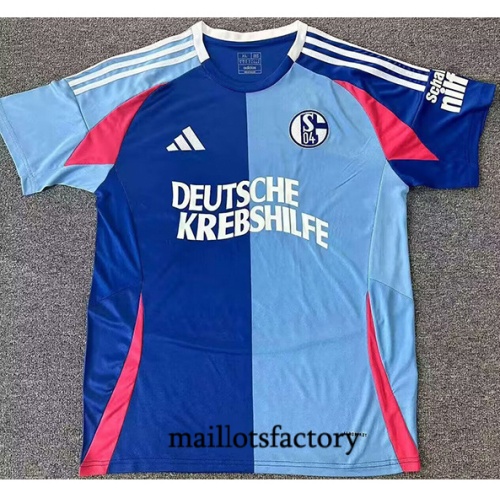 Achetez Maillot du Schalke 04 2024/25 Édition spéciale Bleu