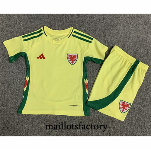 Maillot du Pays de Galles Enfant 2024/25 Exterieur factory O5484