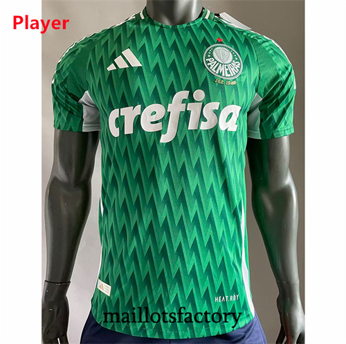 Maillot du Player Palmeiras 2024/25 spéciale Vert