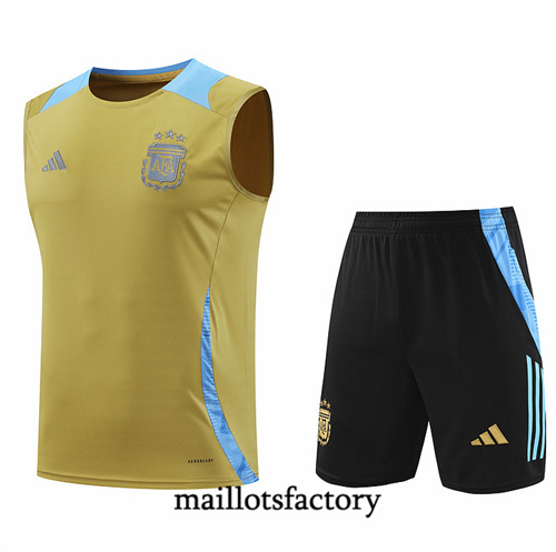 Achat Maillot du Argentine Debardeur 2024/25 Jaune