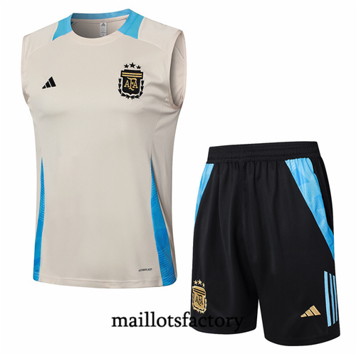 Grossiste Maillot du Argentine Debardeur 2024/25 Jaune