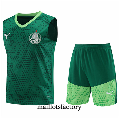 Achetez Maillot du Palmeiras Debardeur 2024/25 Vert