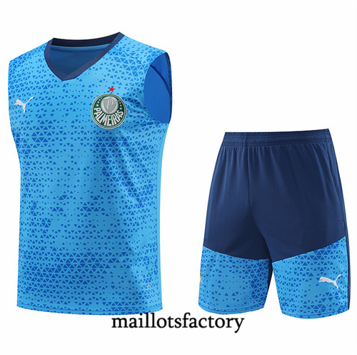 Achat Maillot du Palmeiras Debardeur 2024/25 Bleu