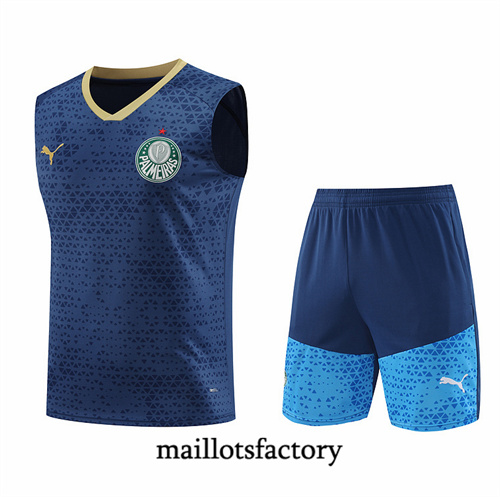 Soldes Maillot du Palmeiras Debardeur 2024/25 Bleu