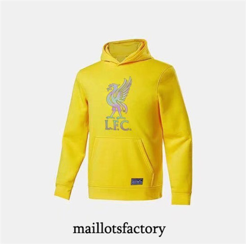 Achat Maillot du Veste Sweat A Capuche Liverpool 2022/23 jaune fac tory s0836